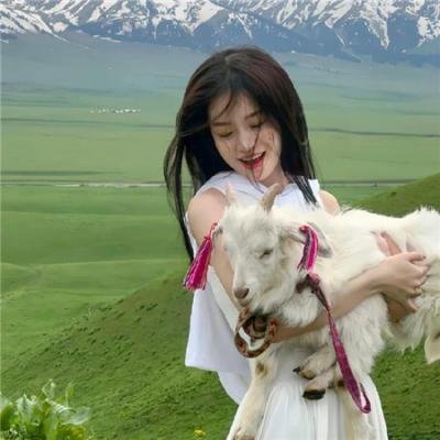 囧人之越挠越痒